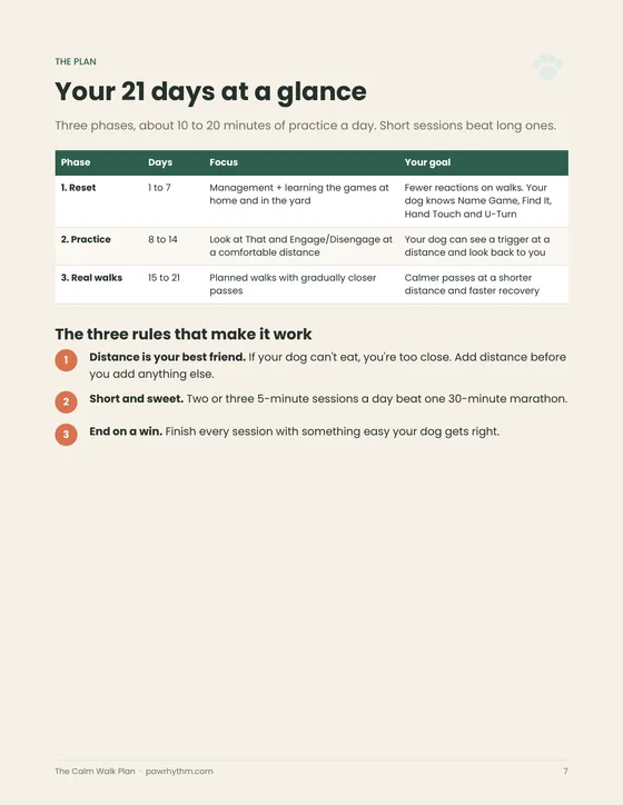 21 days at a glance page